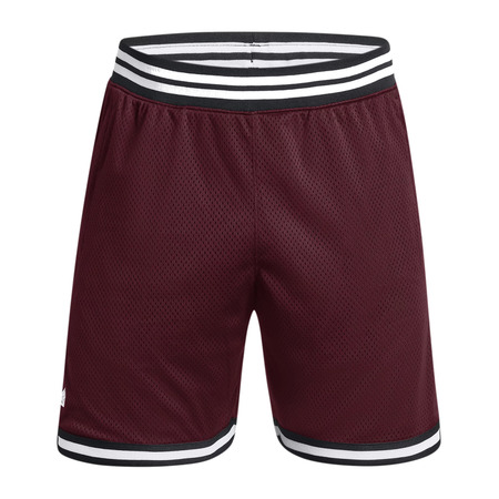 Unter Armour Herren Curry Mesh Shorts "Dark Marron"