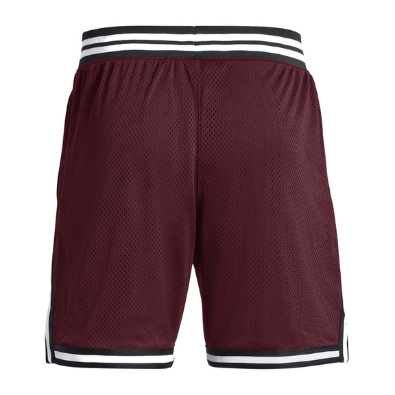 Unter Armour Herren Curry Mesh Shorts "Dark Marron"