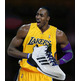 Adidas Dwight Howard Light (weiß/schwarz/violett)