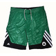 Adidas Short Rev Sum Run Boston Celtics (verde/negro)