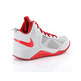 Nike Dual Fusion BB Kids (GS) (008/Wolfgrau/Universität rot)