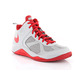 Nike Dual Fusion BB Kids (GS) (008/Wolfgrau/Universität rot)