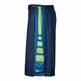 Nike Short Elite Stripe (496/azul/verde)