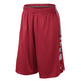 Nike Short Elite Stripe (657/roo/gris)