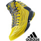 Adidas Crazy Light 2 "Indiana" (grüne Lima/schwarz/gris)