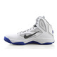 Nike Dual Fusion BB II (101/blanco/blau/gris)