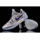 Nike Zoom Kobe Venomenon 5 "Nice Grey" (050/wolf grau/purple/grey)