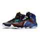 Lebron XII SE Premium "What The" (909/multicolor/phantom/cao)