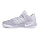 Nike Hyperdunk 2016 Low "Wolf Grey" (010)