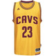 Adidas Camiseta Swingman Lebron James Cavs