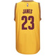 Adidas Camiseta Swingman Lebron James Cavs