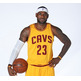 Adidas Camiseta Swingman Lebron James Cavs