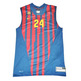 Oleson FC Barcelona Basket 2012/2013