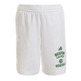 Adidas NBA Washed Boston Celtics Short Men ́s (weiß/grün)