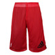 Adidas NBA Bulls Reversible Smer R Short Men ́s (schwarz/rot)