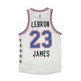 Lebron All Star T-Shirt Dieses NYC 15 (weiß/blau)