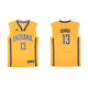 Adidas Camiseta Réplica Paul George Pacers (gelb/noch)