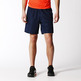 Adidas Short Hombre Base (marino/bright rot)