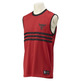 Adidas NBA Bulls Summer Run Reversible (rojo/gro)