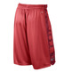 Nike Short Elite Stripe (663/crimson)