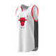 Adidas Camiseta Training NBA Chicago Bulls