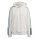 Adidas Essentials Logo Colorblock Hoodie W "Off White"