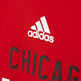 Adidas Graphic Hoodie Bulls (nba-cbu)