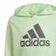 Adidas Junior Big Logo Essentials Baumwolle Hoodie "Green Mint"