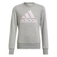 Adidas Kids Essentials Sweatshirt