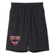 Adidas NBA Washed Short Chicago Bulls(Negro)