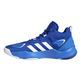 Adidas Pro N3XT 2021 "Royal Blue"