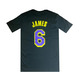 NBA L.A. Lakers NBA Script #6 JAMES #