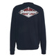 Champion Basketball Graphic Crewneck Sweatshirt "Texas"