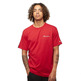 Champion Legacy Farbe Block Script Logo Back Tee "Red"