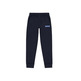 Champion Legacy Rib Cuff Logo Hose "Navy"