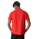 Champion Rochester Multicolour Bookstore Cotton T-Shirt "Red"