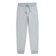 Champion Rochester Ton C Logo Fleece Joggers "Light Grey"