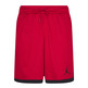 Jordan Air Knit Dri-FIT Herren Shorts "Gym Red"