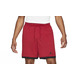 Jordan Air Knit Dri-FIT Herren Shorts "Gym Red"