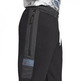 Jordan Air Herren Fleece Pants "Black"