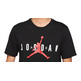 Jordan Air Wordmark T-Shirt "BlackRed"