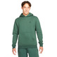 Jordan Essentials Fleece Po Hoodie "Green"