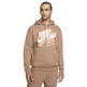 Jordan Jumpman Herren Fleece Pullover Hoodie "Archaeo Bronw"