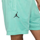 Jordan Sport DNA Herren Mesh Shorts "Tropical Twist"