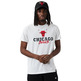 Neue Era NBA Chicago Bulls Script Logo Tee "Weiß"