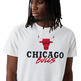 Neue Era NBA Chicago Bulls Script Logo Tee "Weiß"