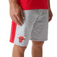 Neu Era NBA Chicago Bulls Side Panel Shorts "Grey-Red"