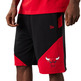 Neu Era NBA Chicago Bulls Team Logo "Black-Red"