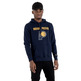 Neu Era NBA Indiana Pacers Team Logo Regular Hoody