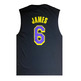 New Era NBA L.A. Lakers NBA Script # 6 JAMES #